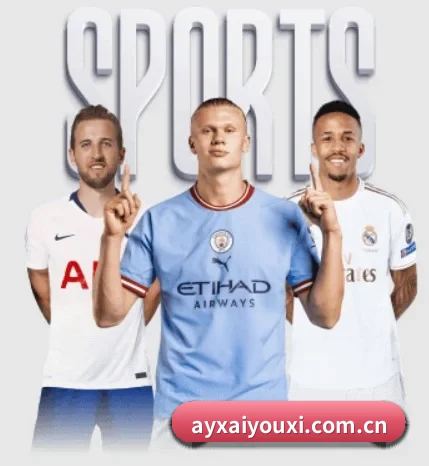 爱游戏ayx的故事
